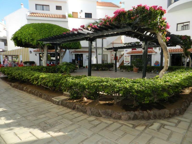 Apartment Cristian Sur Los Cristianos (Tenerife) Exterior foto